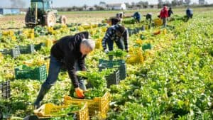 Canada’s Temporary Foreign Worker Program Nearly Doubles in Popularity in Five Years