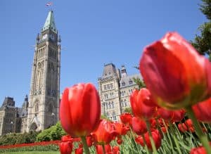 Ottawa Set to Defend its Biggest Case Involving Unlicensed Canadian Immigration Consultants