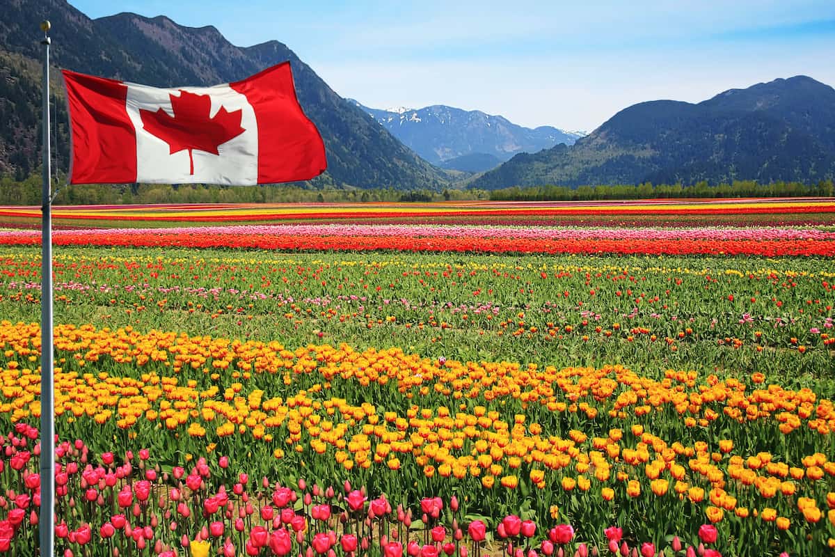 Canada To Conduct First Express Entry Draw Targeting Agriculture And Agri-Food Sector