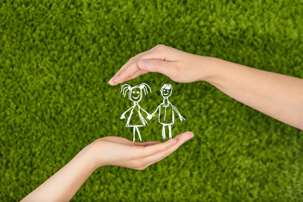 The Children and Youth Care and Protection Act—a Challenge for Visible Minority Parents in Newfoundland and Labrador