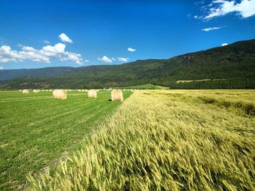 Canada Needs 30,000 Immigrant Farmers Over The Next Decade, Report Says