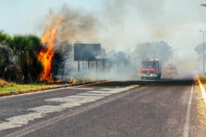 Canada Extends Immigration And Citizenship Document Relief For Wildfire Victims
