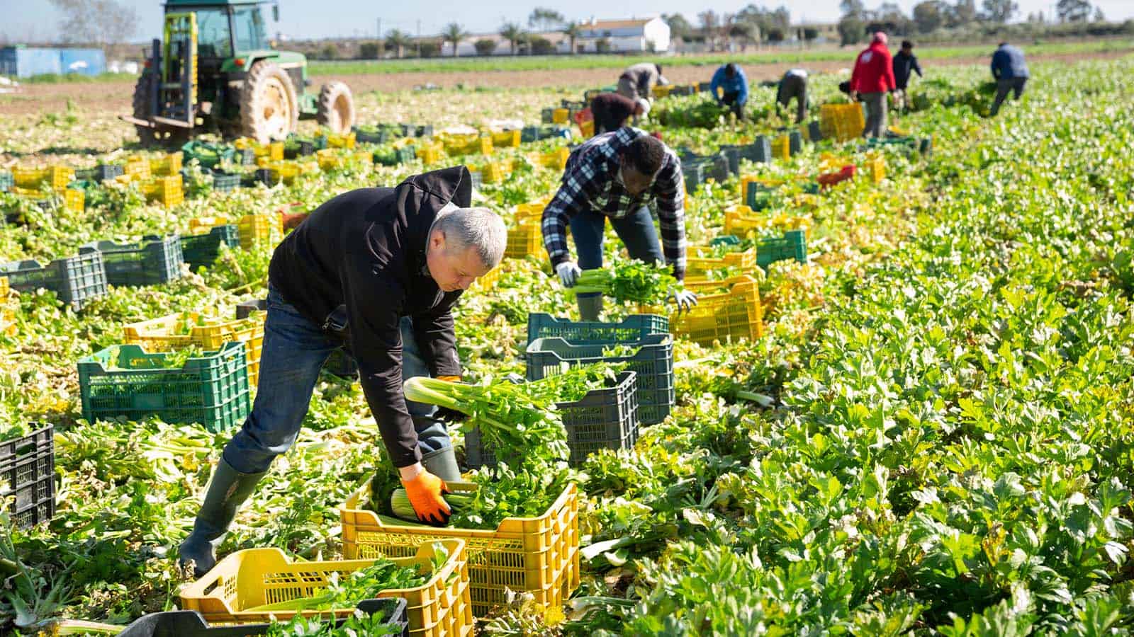 Canada’s Temporary Foreign Worker Program Nearly Doubles in Popularity in Five Years