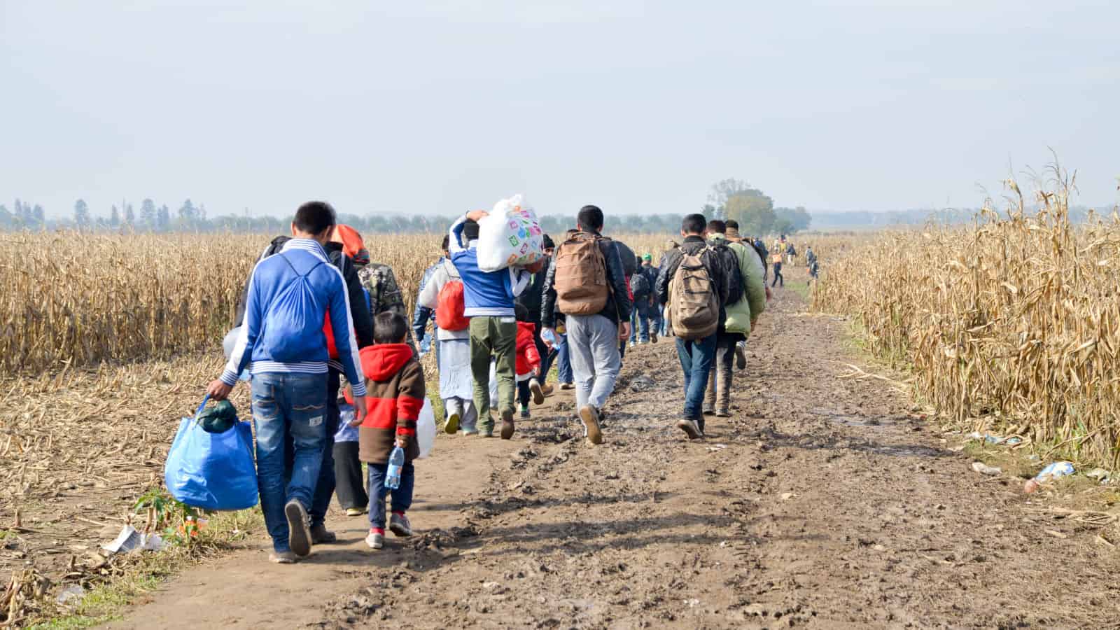 Canada To Help More Refugees From Gaza