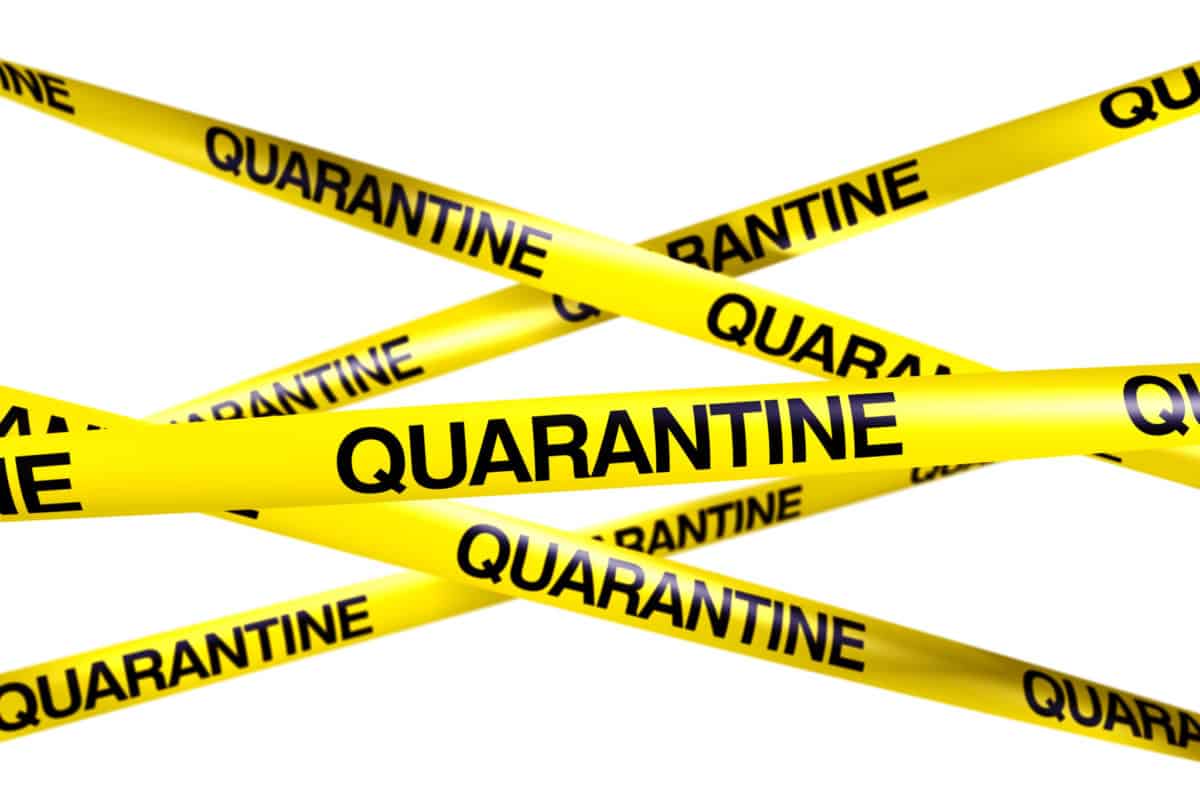 International Students Still Need 14 Day Quarantine Plans Says Ottawa   Quarantine 23093787 Scaled 1 