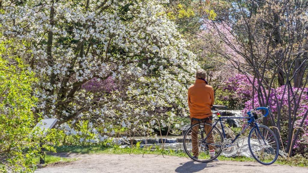 Understanding Canadian Weather How to Prepare for the Climate Spring