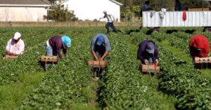 Manitoba Announces Letter of Support Process For Temporary Foreign Workers